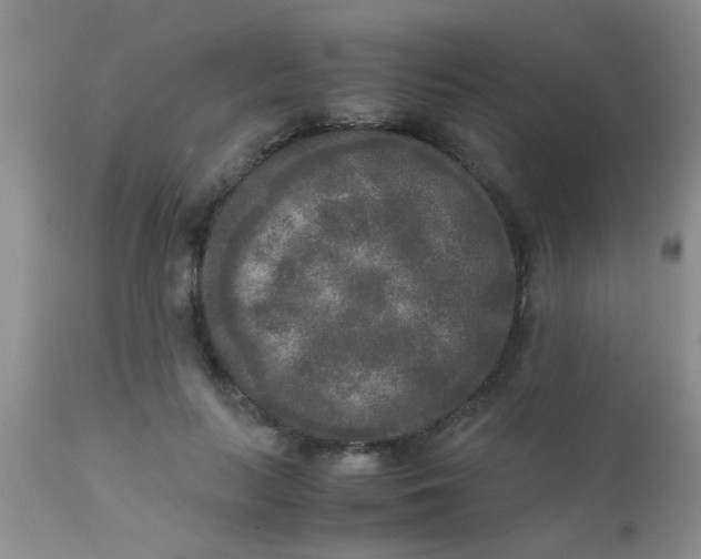 X0000110950647200907022158