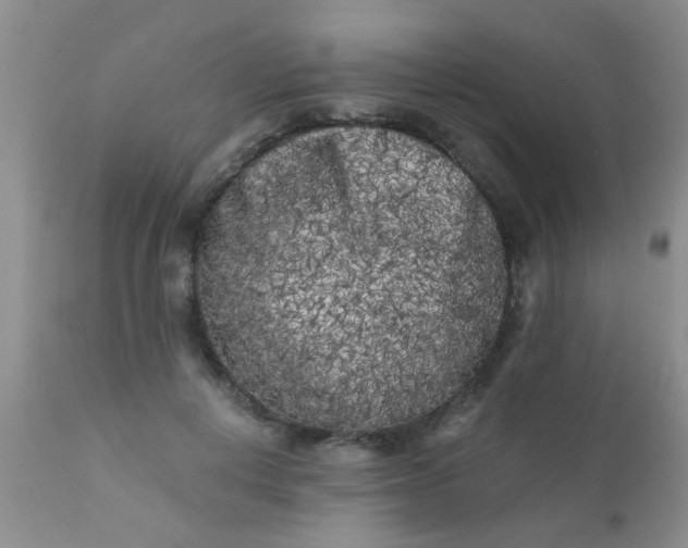 X0000110950648200907022158