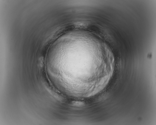 X0000110950649200907022158