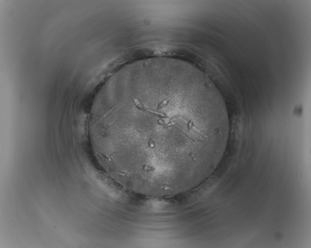 X0000110950650200907022158