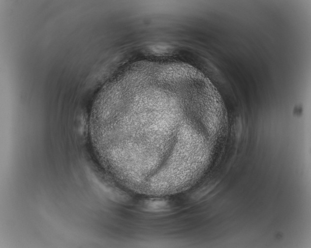 X0000110950651200907022158