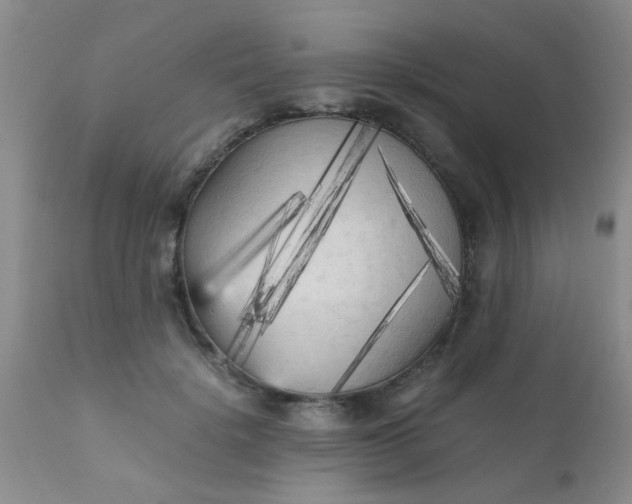 X0000110950652200907022158