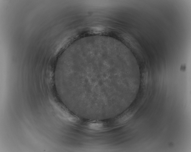 X0000110950653200907022158