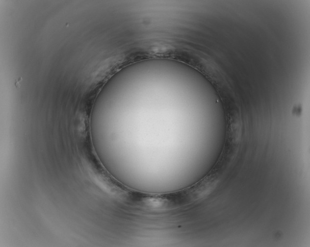 X0000110950654200907022158