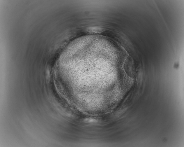 X0000110950655200907022158