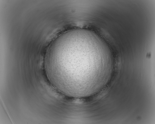 X0000110950656200907022158