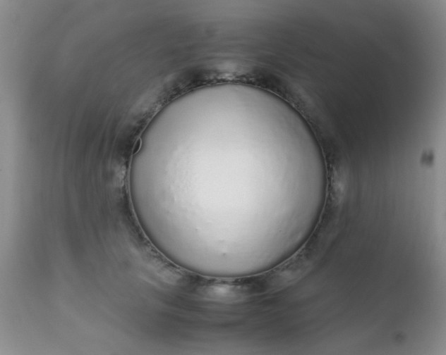 X0000110950657200907022158