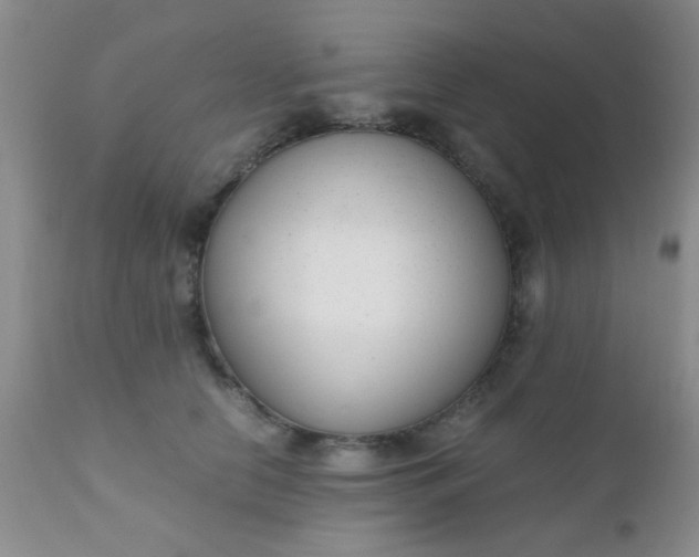 X0000110950658200907022158