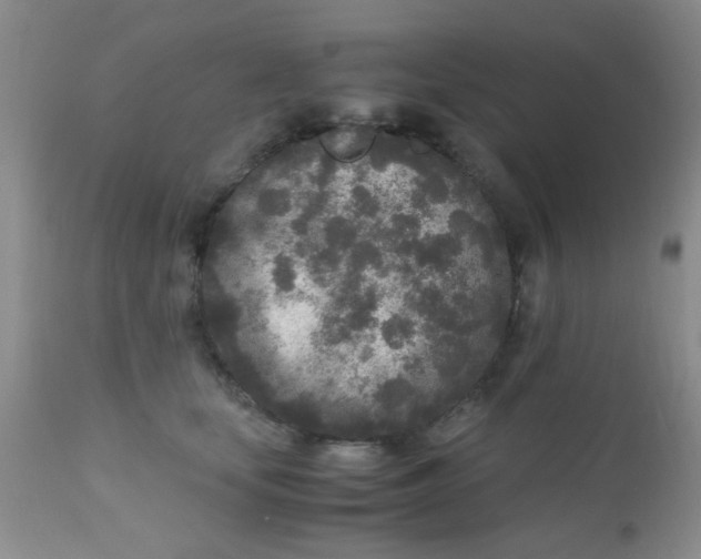 X0000110950659200907022158