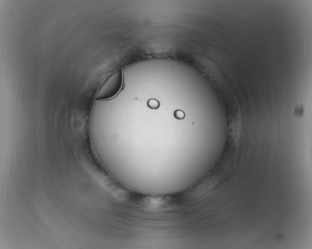 X0000110950662200907022158