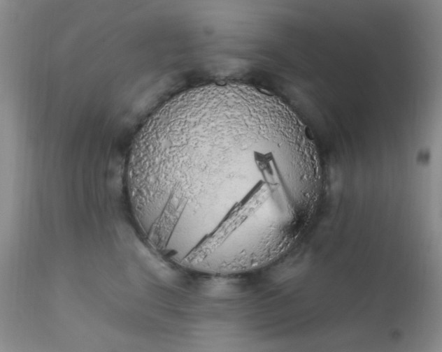 X0000110950664200907022158