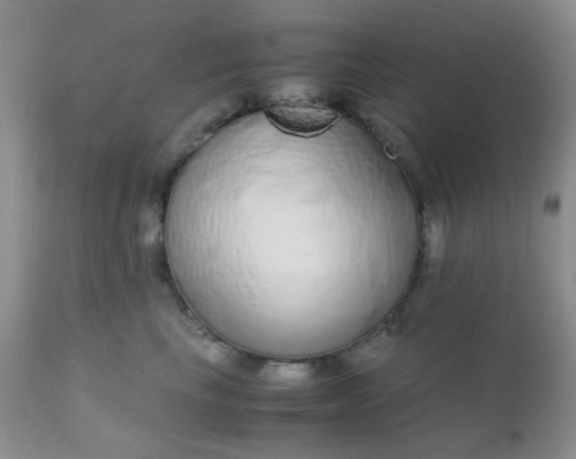 X0000110950665200907022158