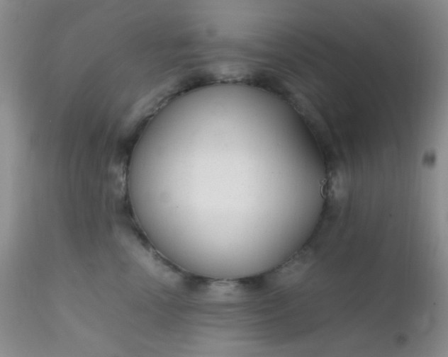 X0000110950666200907022158