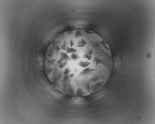 X0000110950667200907022158