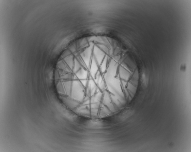 X0000110950668200907022158