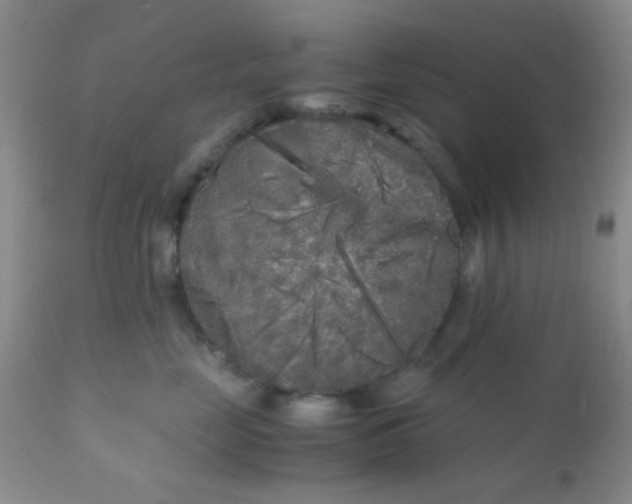 X0000110950669200907022158