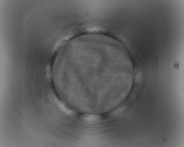 X0000110950670200907022158