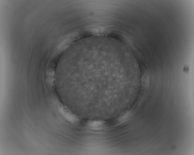 X0000110950671200907022158