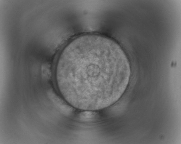 X0000110950672200907022158