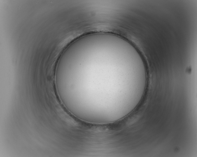 X0000110950673200907022158