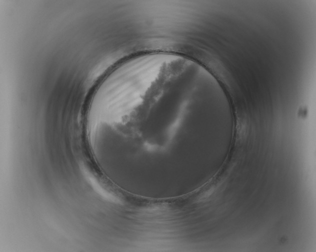 X0000110950674200907022158