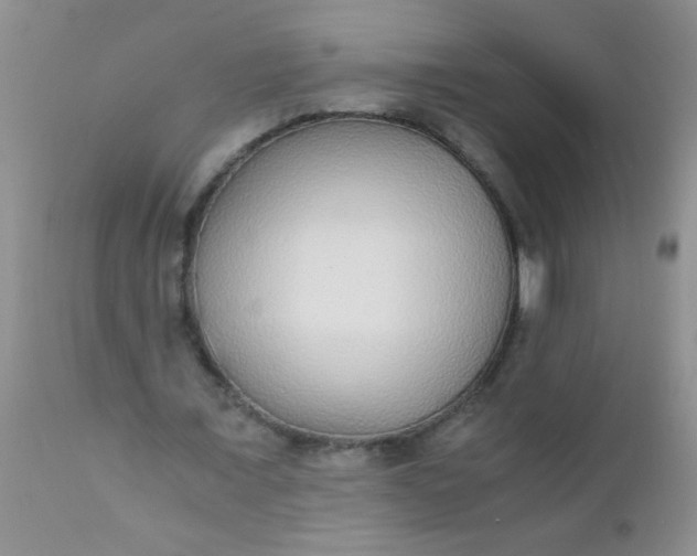 X0000110950675200907022158