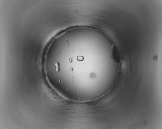 X0000110950676200907022158