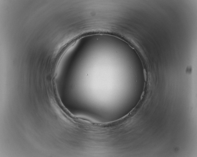 X0000110950677200907022157