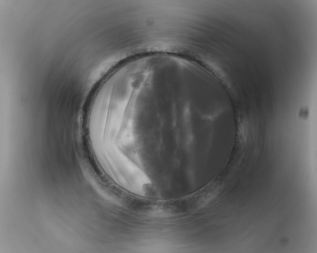 X0000110950678200907022157