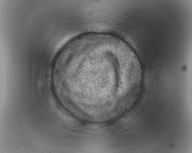 X0000110950679200907022157