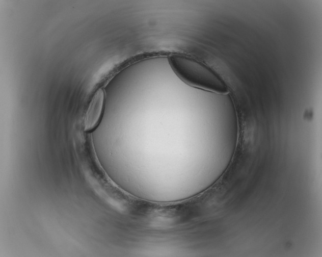 X0000110950680200907022157