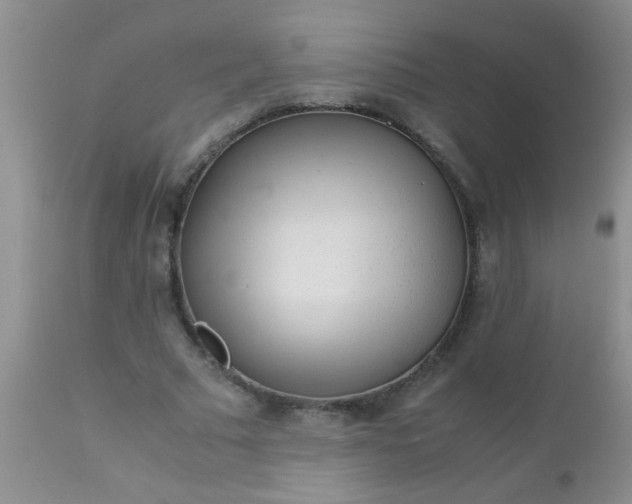 X0000110950681200907022157