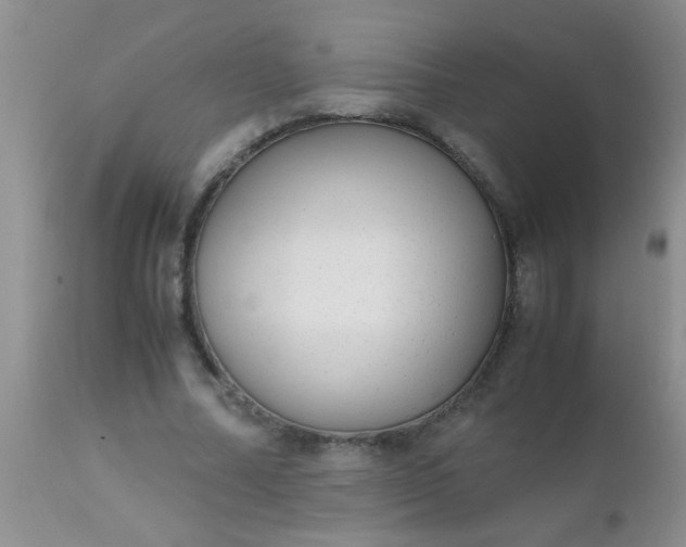 X0000110950682200907022157