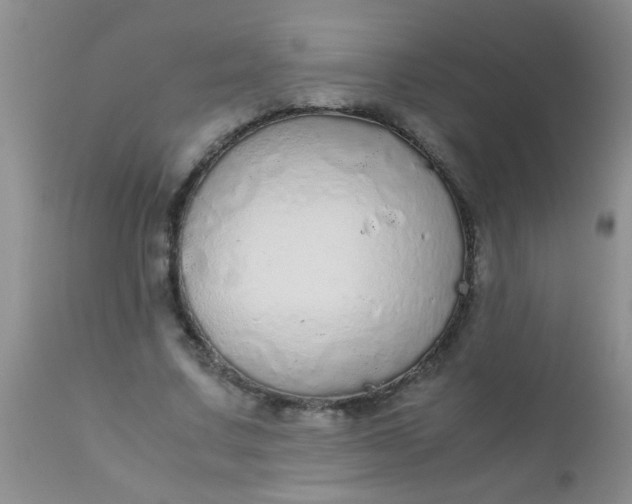 X0000110950683200907022157