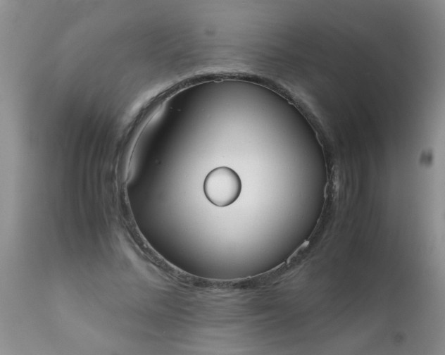 X0000110950684200907022157