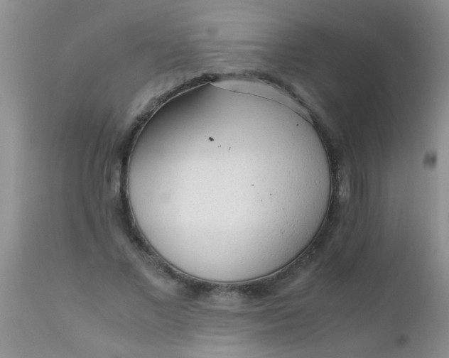 X0000110950685200907022157