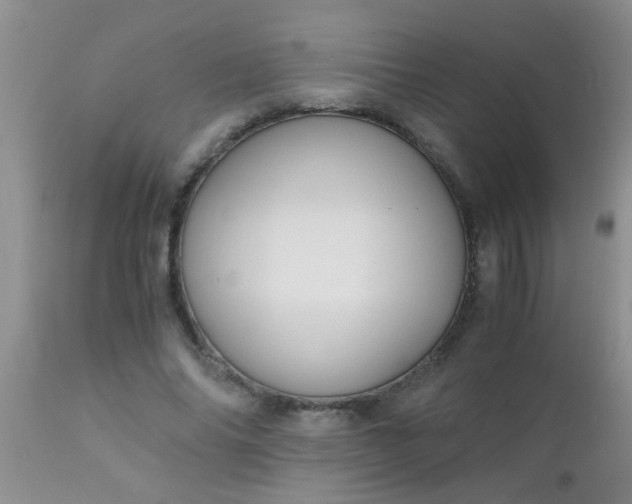 X0000110950686200907022157