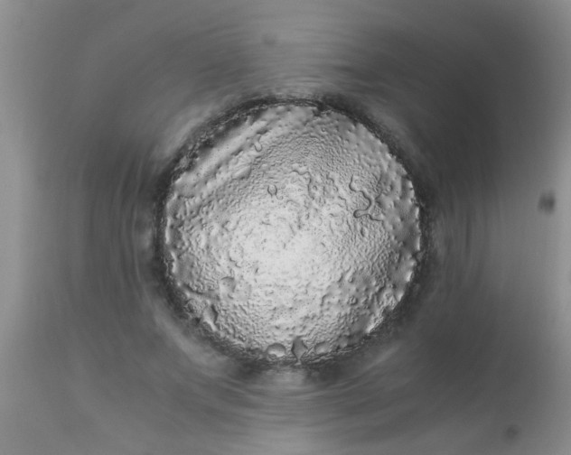 X0000110950687200907022157