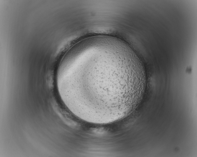 X0000110950688200907022157