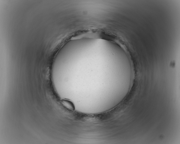 X0000110950689200907022157