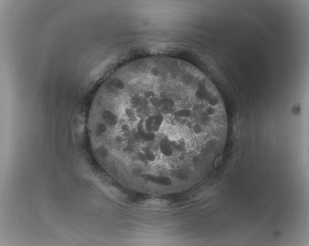 X0000110950691200907022157