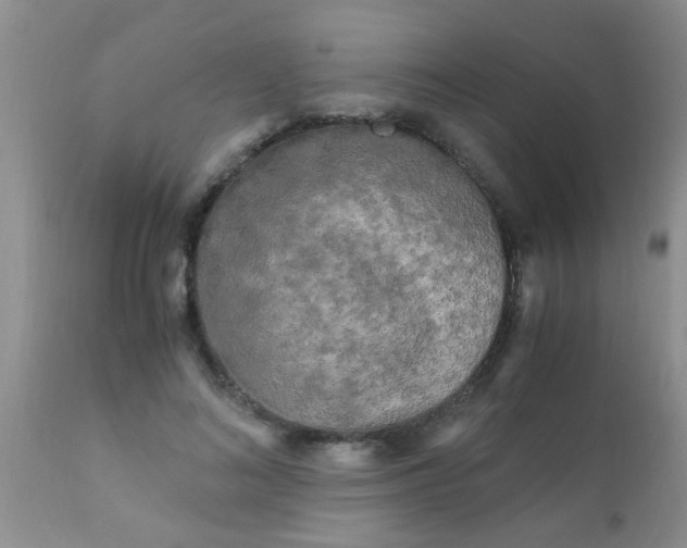 X0000110950692200907022157