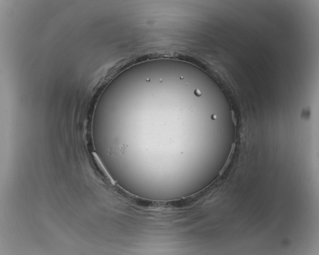 X0000110950693200907022157