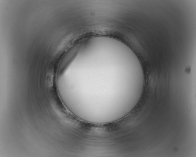 X0000110950694200907022157