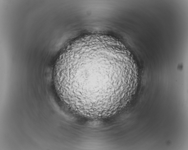 X0000110950695200907022157