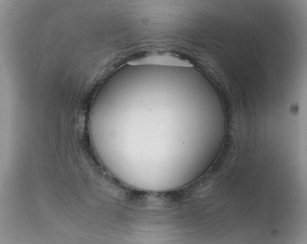 X0000110950697200907022157