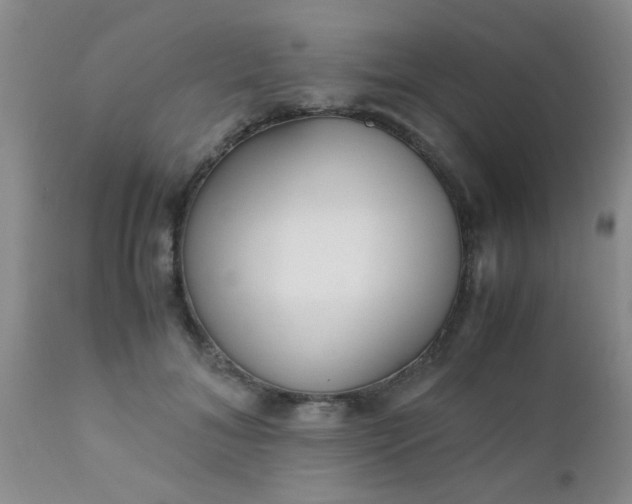 X0000110950700200907022157