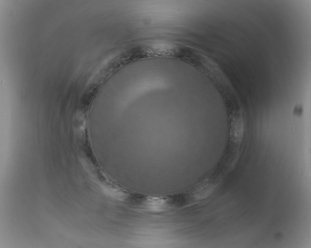 X0000110950701200907022157