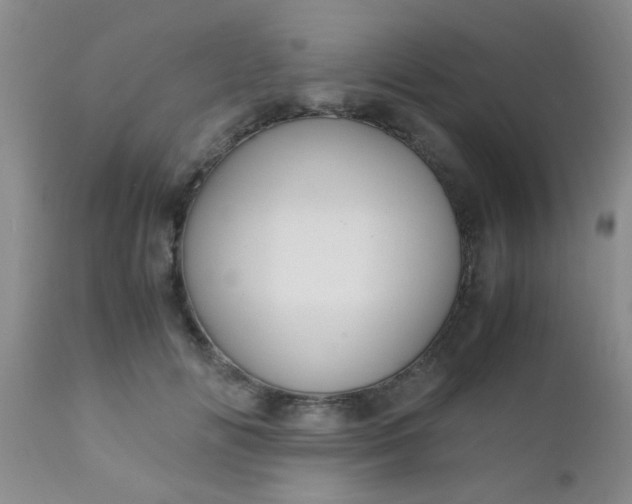 X0000110950702200907022157