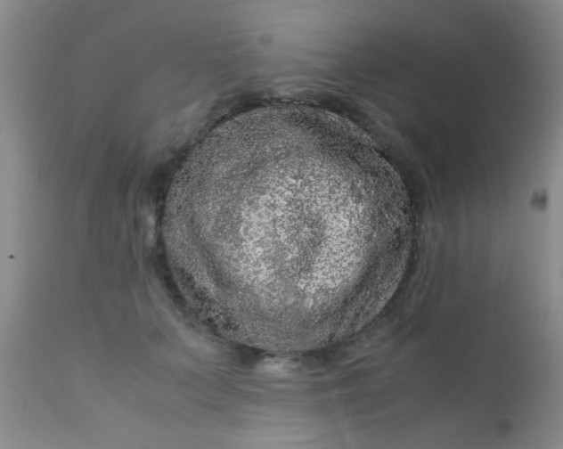 X0000110950703200907022157